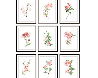 Pink Japanese Art Flowers, Digital Download, Antique Floral Illustrations, Pink Blossoms, Set of 9 Botanical Wall Art 5x7 Inch Printables