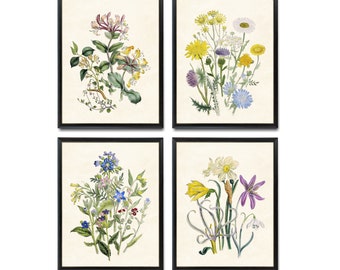 Wildflowers Set of 4, Digital Prints, Vintage Wildflower Illustrations, Printable Botanical Wall Art INSTANT DOWNLOAD