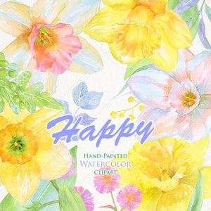 Narciso Narciso Mimosa Fiori primaverili Floreale Acquerello Clipart Giunchiglia Dipinto a mano Clip Art Fai da te Inviti Biglietto di auguri Invito