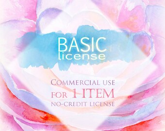 BASIC LICENSE No Credit required / Single product