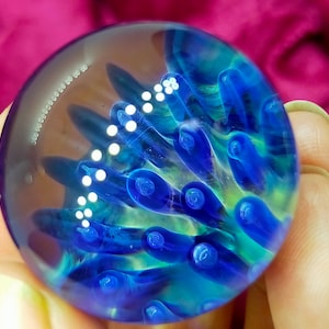 Handmade glass marble, anemone design made from Borosilicate Glass.