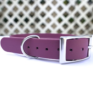 May include: A plum-colored dog collar with a silver-colored buckle and a matching D-ring. The collar is made of a smooth material and is designed for a pet.