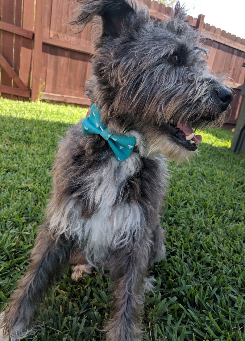 Blue and white triangles dog bow tie made to order