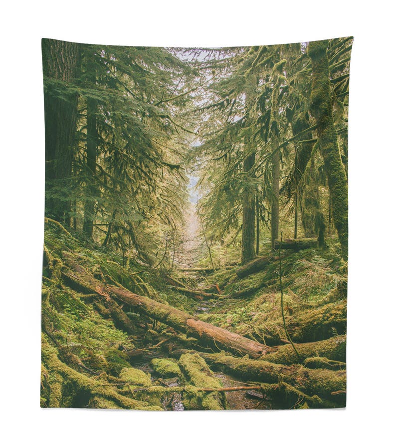 Into the Woods Tapestry Nature Tapestry Forest Wall Decor Etsy