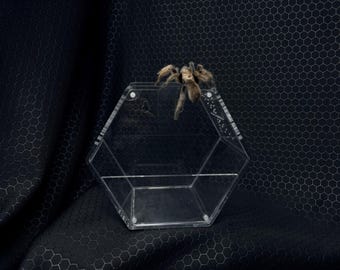 The Hive. Medium spider cage, bug cage, custom enclosures, hive customs, arachnid enclosure, bug displays, bug collector, spiders,