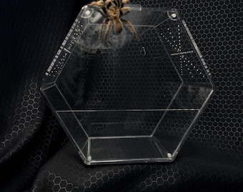 The Hive. Large spider cage, bug cage, custom enclosures, hive customs, arachnid enclosure, bug displays, bug collector, spiders