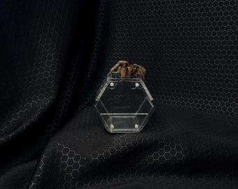The Hive. Small spider cage, bug cage, custom enclosures, hive customs, arachnid enclosure, bug displays, bug collector, spiders