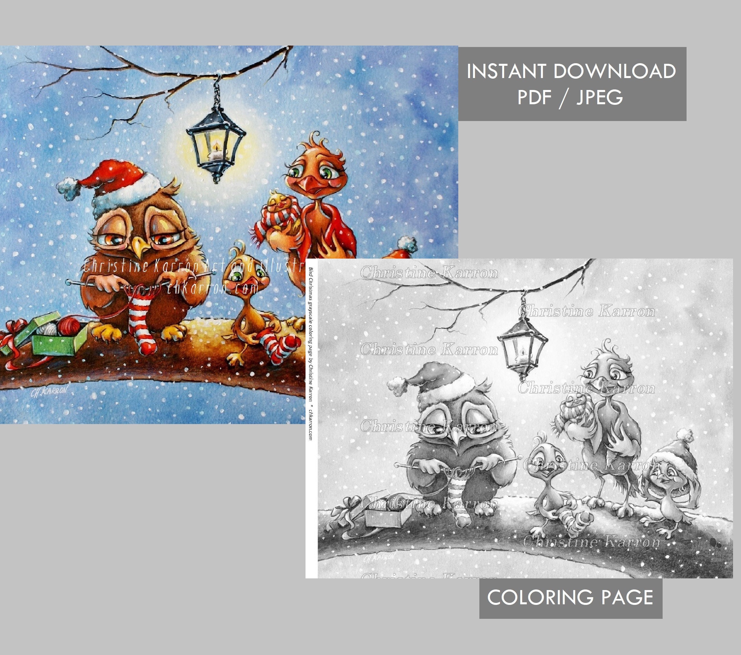 Bird Christmas Grayscale — coloring book cover