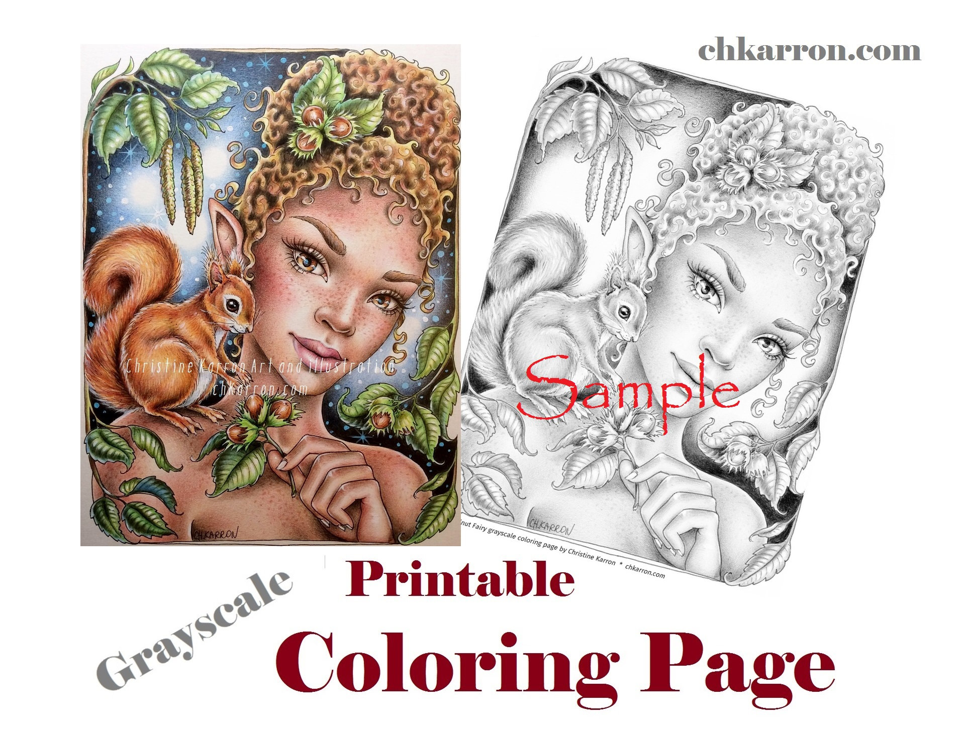 Hazelnut Fairy Grayscale — coloring book cover