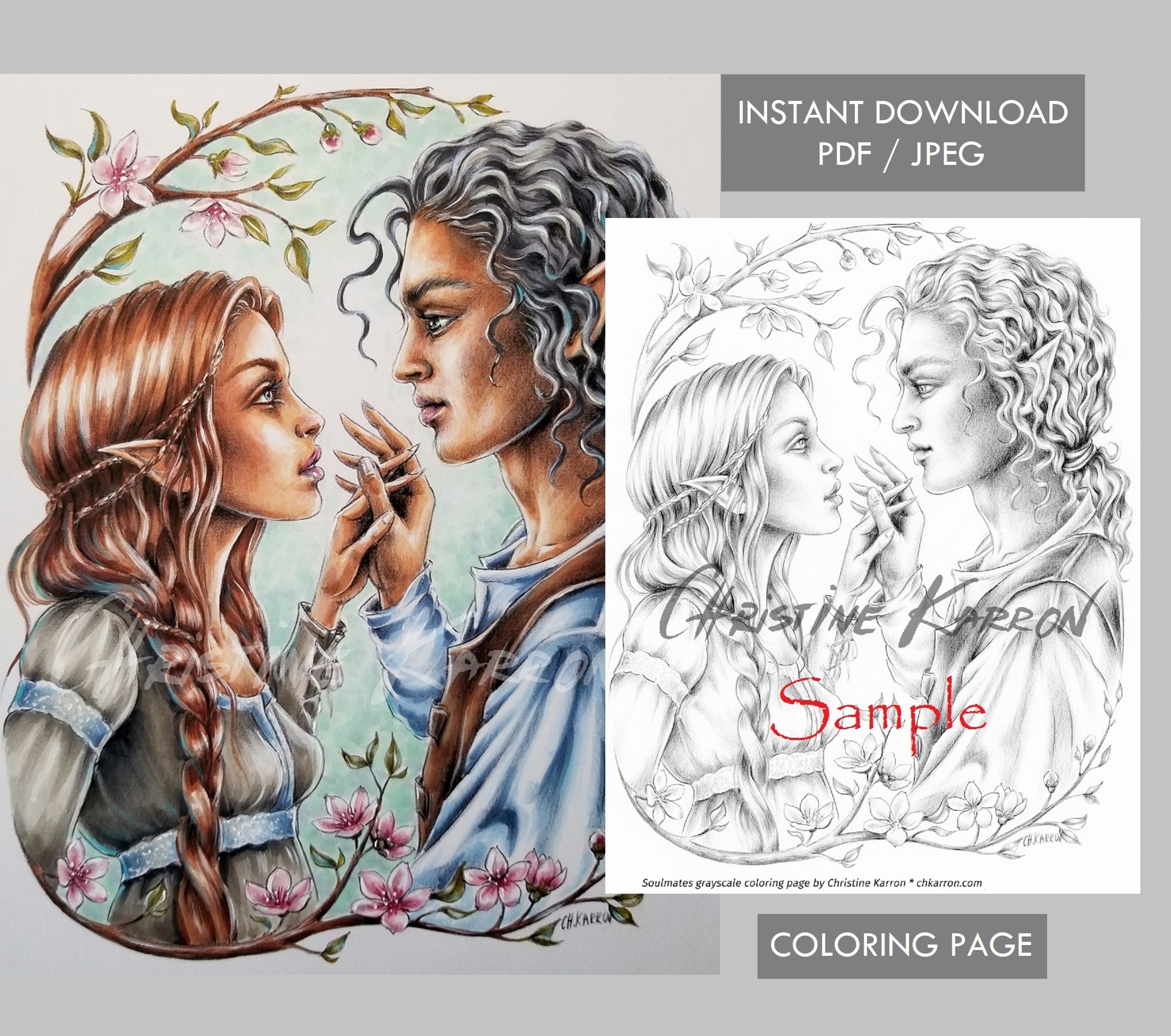 Soulmates Fairies — coloring book cover