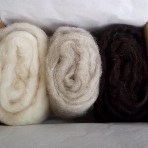May include: Three rolls of wool yarn in a cardboard box. The yarn is white, light gray, and dark brown.