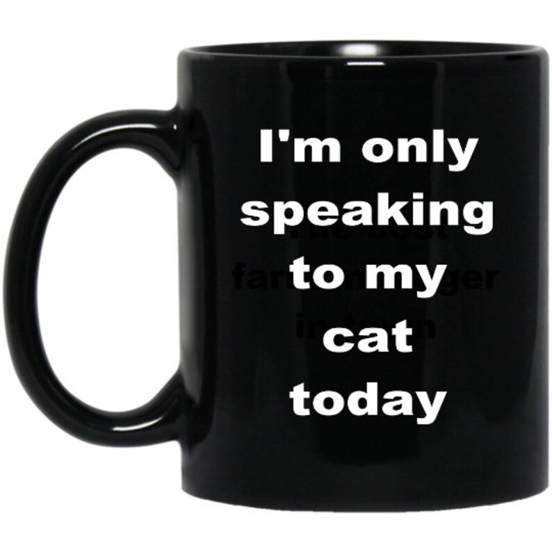 Tea Cup Gift for Cat Lover Funny Cat Mug Gifts for Christmas Etsy