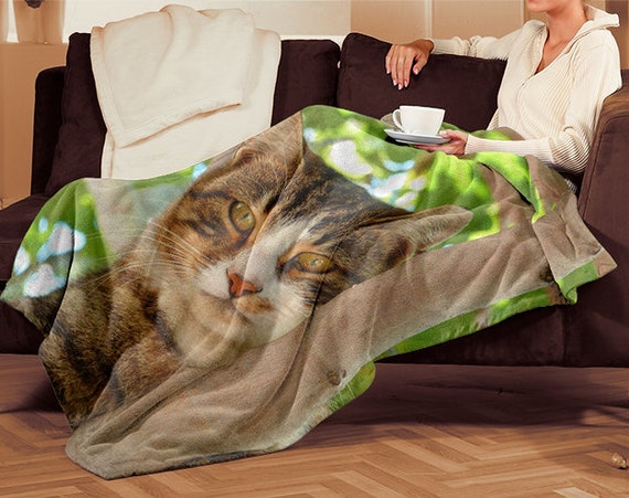 Pillow talk online mink blankets