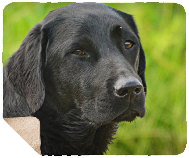 Black Lab Mink Sherpa Blanket Large Black Lab Sheepskin Throw Etsy
