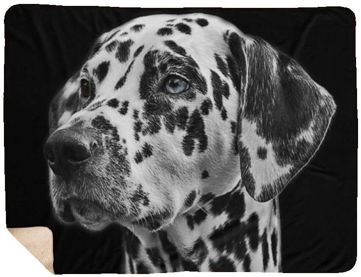 dalmatian fleece blanket