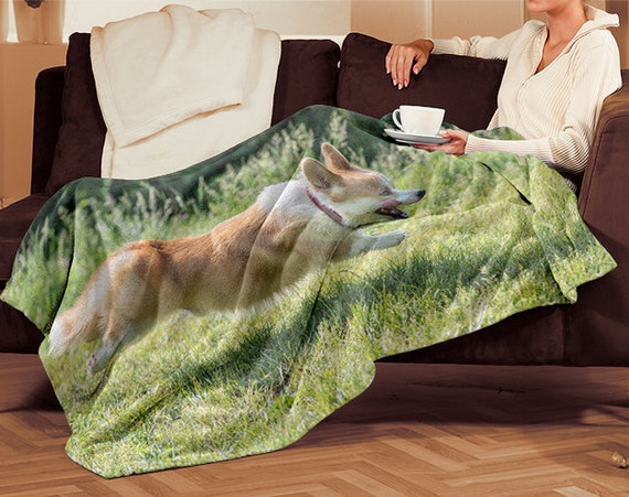 corgi throw blanket