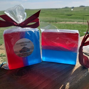 Gay PRIDE Bi-Sexual LGBTQ Two Spirit Handcrafted Soap Bath and Body for Him or Her Baja Cactus Scent Birthday or Coming Out Gift Under 10