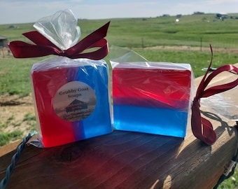 Gay PRIDE Bi-Sexual LGBTQ Two Spirit Handcrafted Soap Bath and Body for Him or Her Baja Cactus Scent Birthday or Coming Out Gift Under 10
