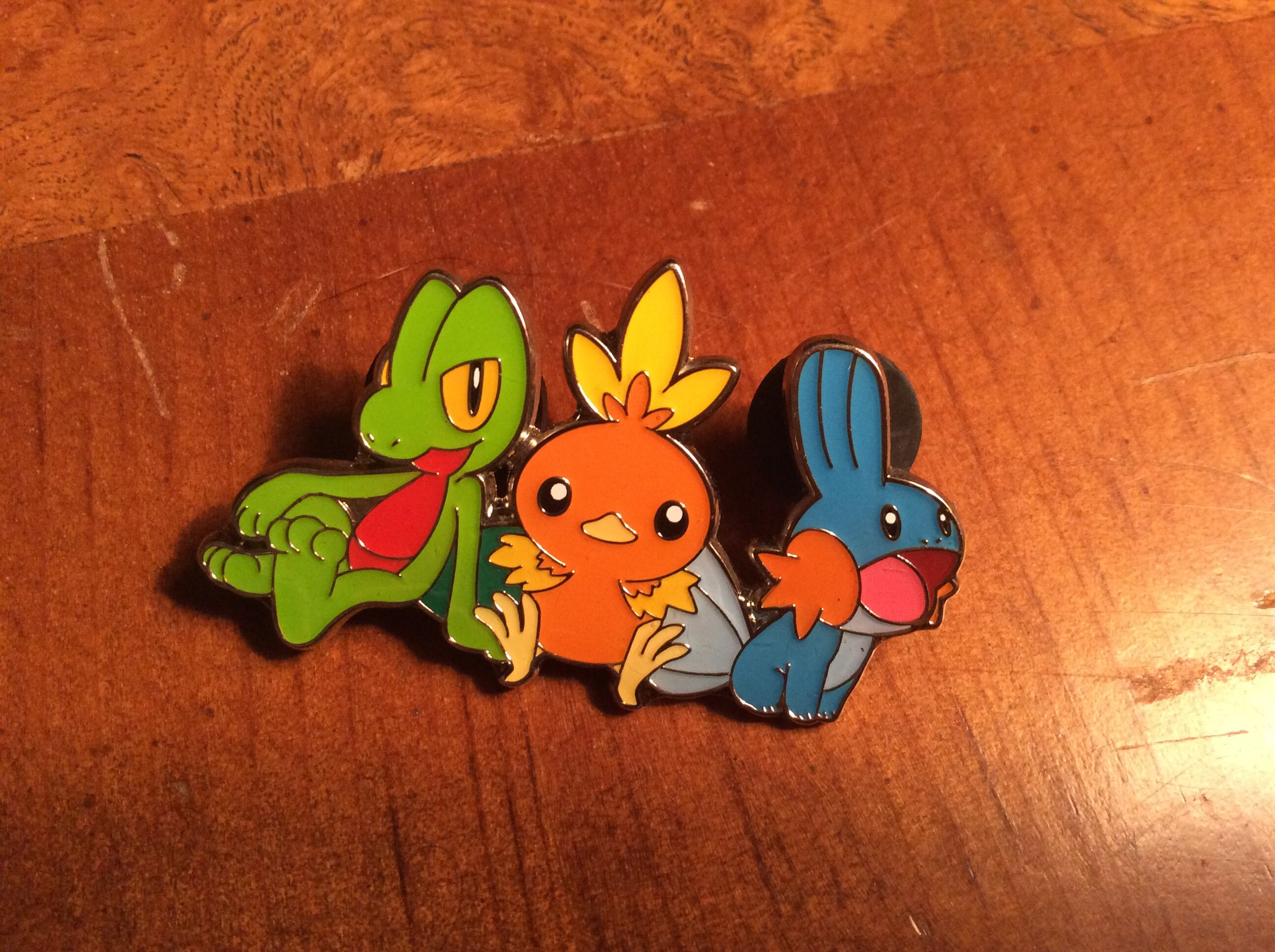 Pokémon Pin of Generation Three Starter Pokémon (treecko, Torchic, and  Mudkip) - Etsy, image size:2592x1936