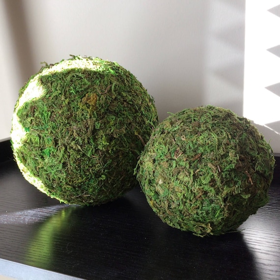 Moss Ball Decorative Ball Vase Filler Farmhouse Decor Etsy