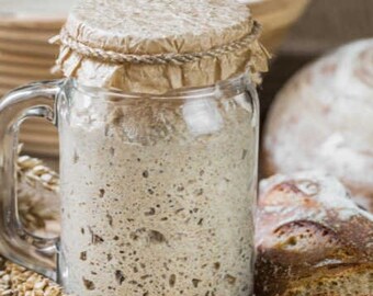 Active Sourdough Starter