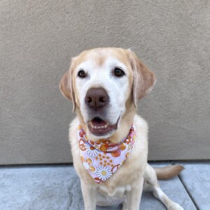 Retro Dog Bandana, Reversible Dog Bandana, Daisy & Peace Sign, 70s Hippie Dog Bandana Scarf, Groovy Pet Bandana, Cute Boho Dog Accessory