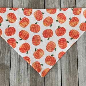 May include: A white cotton dog bandana with a repeating pattern of orange pumpkins. The pumpkins have a watercolor effect and are scattered across the bandana.