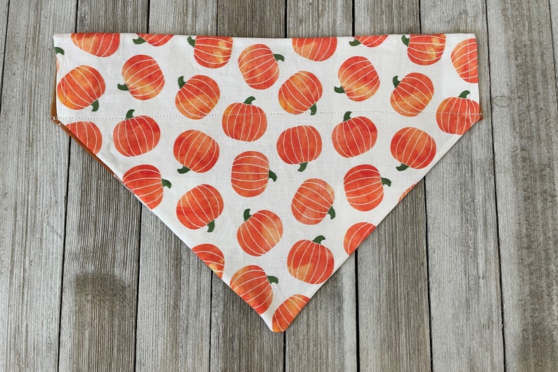 May include: A white cotton dog bandana with a repeating pattern of orange pumpkins. The pumpkins have a watercolor effect and are scattered across the bandana.