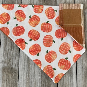 May include: A white bandana with a brown plaid trim and a pattern of orange pumpkins.
