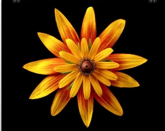 Print of: Vonflora Sunflowers Print Sunflower Poster Wall Art Sunflower Decor 2