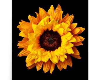 Print of: Vonflora Sunflowers Print Sunflower Wall Art Poster Sunflower Decor