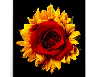 Fine Art-print zonnebloemroos: Vonflora Superflower-muurkunst