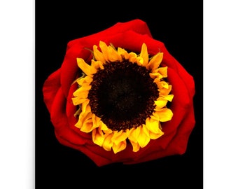 Vonflora Red Rose Sunflower Art Print: Superflower Wall Decor