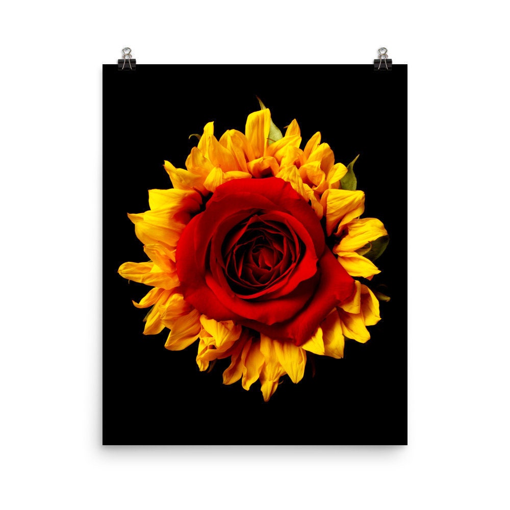 Vonflora Sunflower Print Red Rose Wall Art Sunflower Poster Etsy