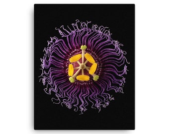 Passion Flower Canvas Print, Vonflora SuperFlower Wall Art