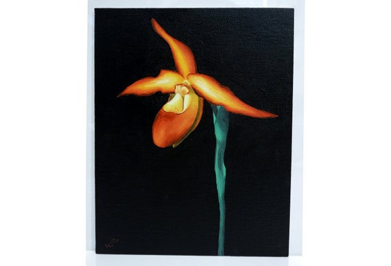 8 x 10 Pintura de orquídea Phragmipedium Besseae Lady Slipper - Etsy México