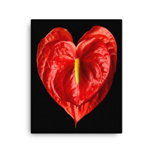 Vonflora Anthurium Canvas Print  Anthurium Flower Wall Art Heart Flower