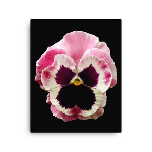 Vonflora Pansy Canvas Print Pansies Canvas Print Pansy Art Canvas  Wall Art