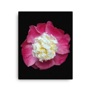 Vonflora Pink Peony Canvas Print White Peony Canvas Print Wall Art Peony Flowers