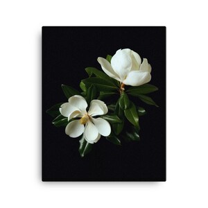 Print of: Magnolia Canvas Print  Wall Art Magnolia Flowers