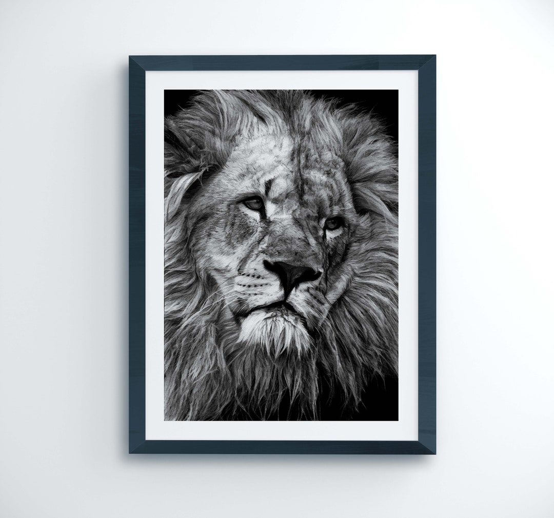 Lion Fine Art Print, Lion Face, Safari, Wall Art, Poster Picture, Pet ...