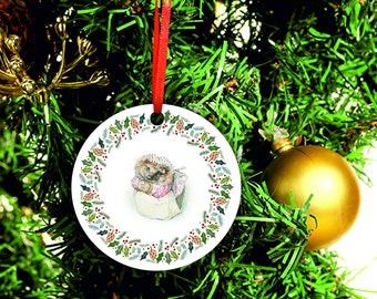 Beatrix Potter Christmas decoration Mrs Tiggy Winkle Hedgehog large 8x8cm