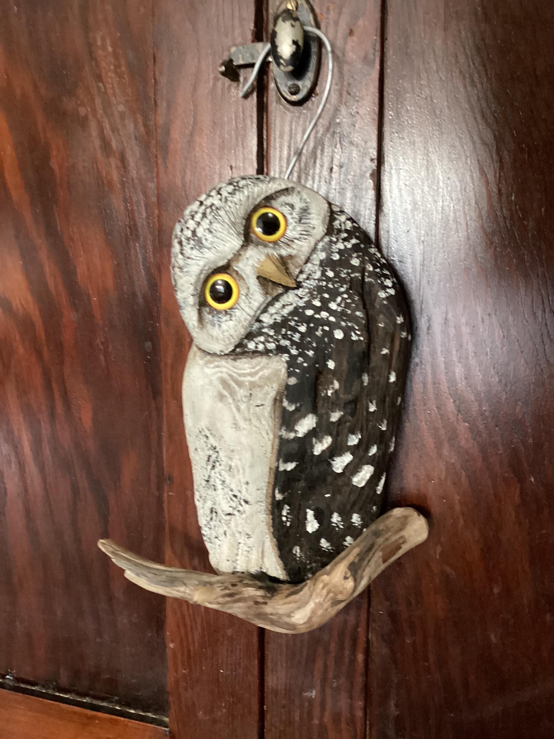 Handcarved Driftwood Burrowing Owl hanging
