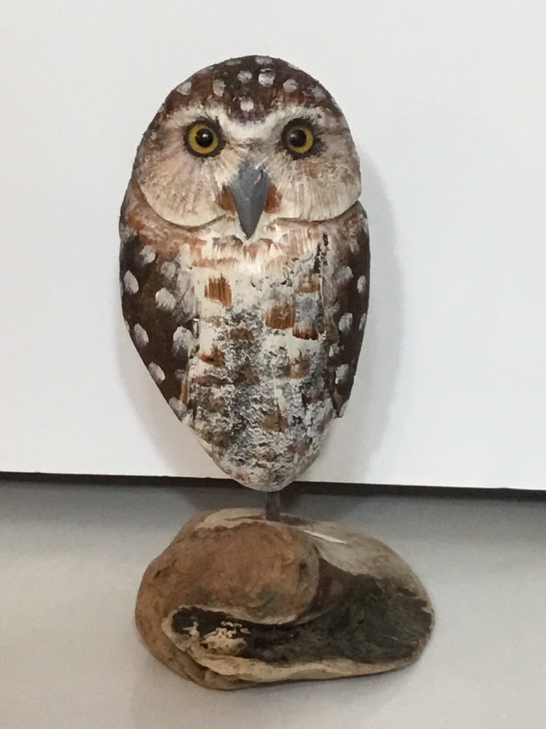 Hand carved Driftwood Burrowing Owl by Mary Elton Wilkerson Etsy