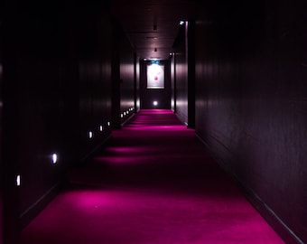 Purple Hallway Photo Print for Contemporary Room