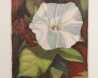 Morning Glory Limited Edition Watercolor print