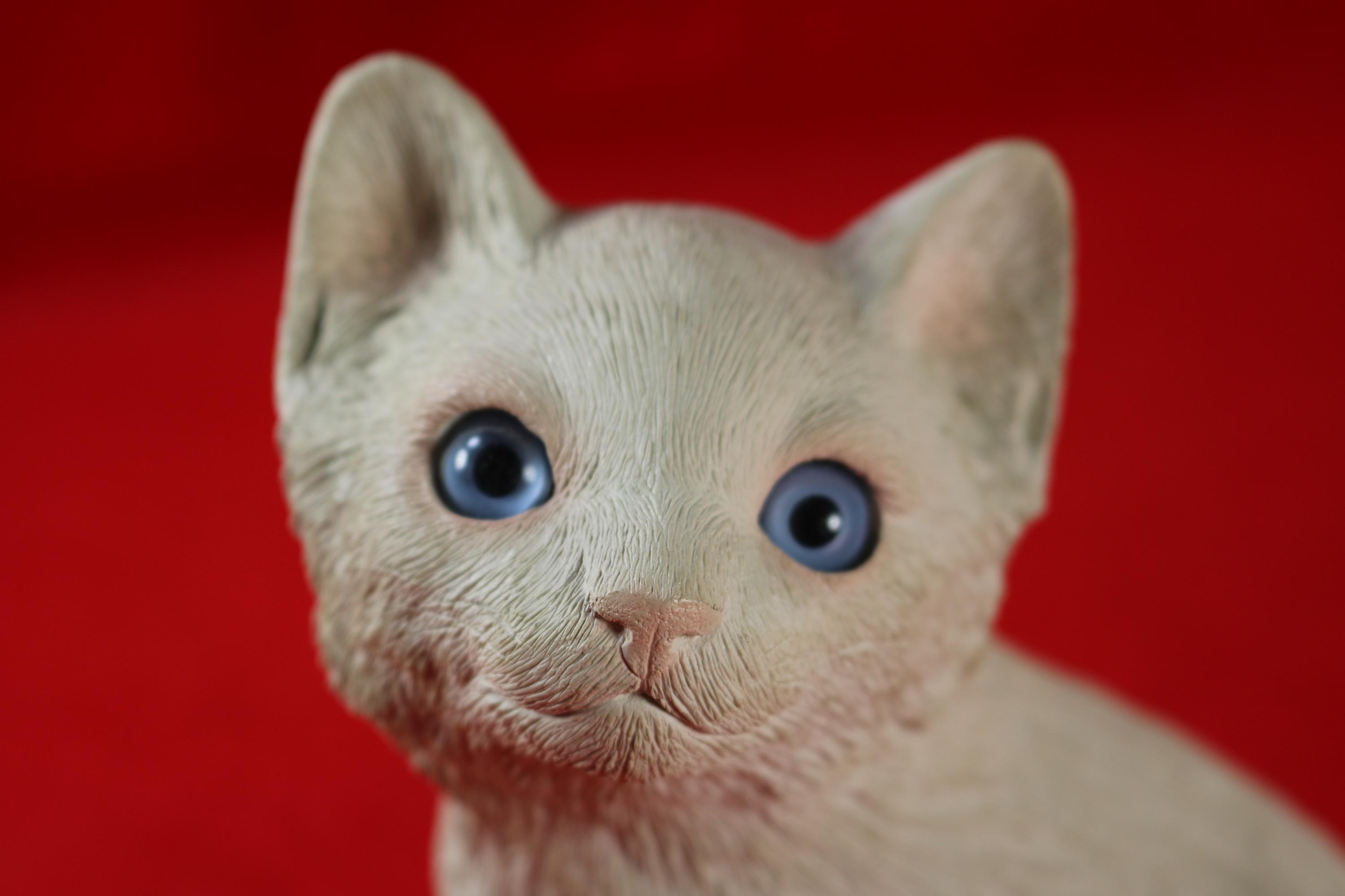 Adorable Blue Eyed Kitten Sandicast Sculpture by Sandra Brue - Etsy