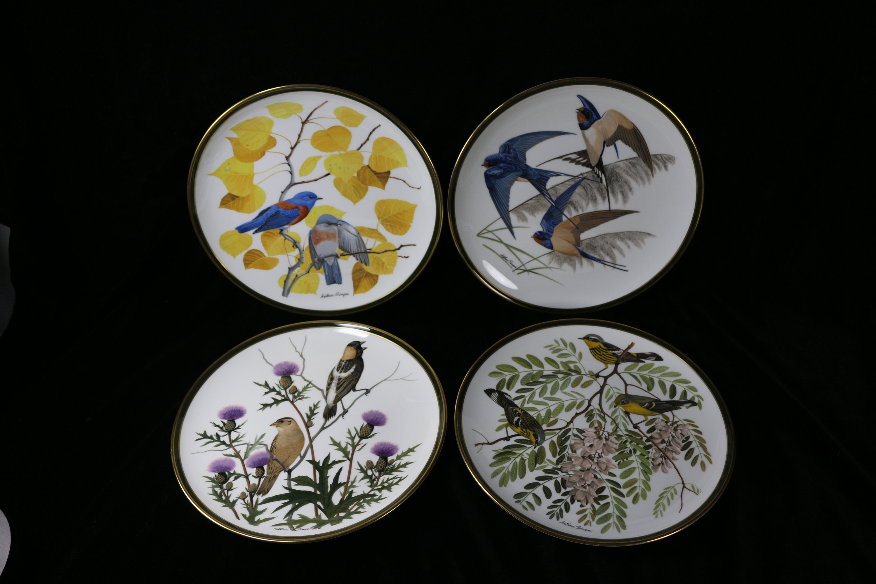 Franklin Porcelain Songbirds of the World 1977 - Ensemble de