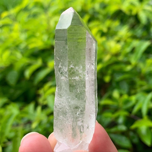 Lemurian Seed Quartz Crystal