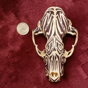Hand-Inked Raccoon Skull